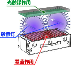 殺菌部イメージ 紫外線殺菌灯による殺菌作用と光触媒作用